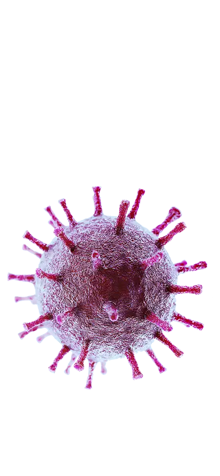 Molécula de coronavirus principal